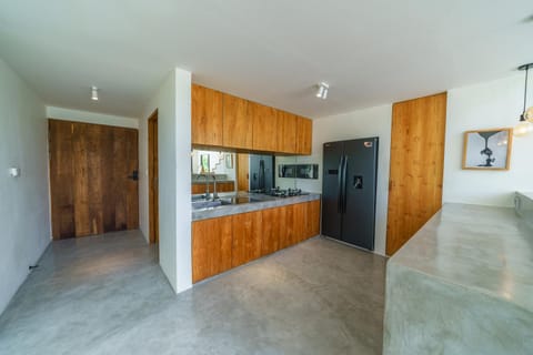 Kitchen or kitchenette, oven, stove