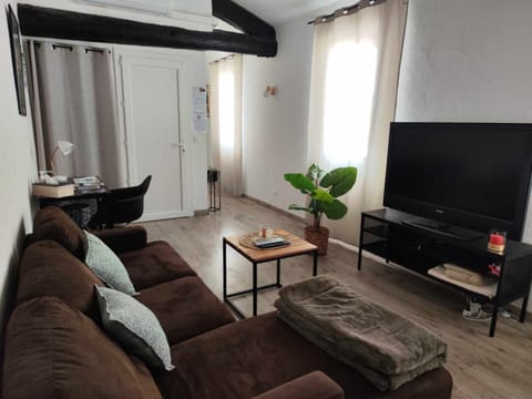 Appartement de Charme L'Isle-sur-la-Sorgue sur la Sorgues Apartment in L'Isle-sur-la-Sorgue