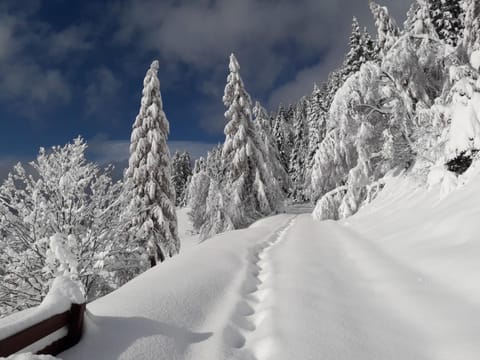 Natural landscape, Winter