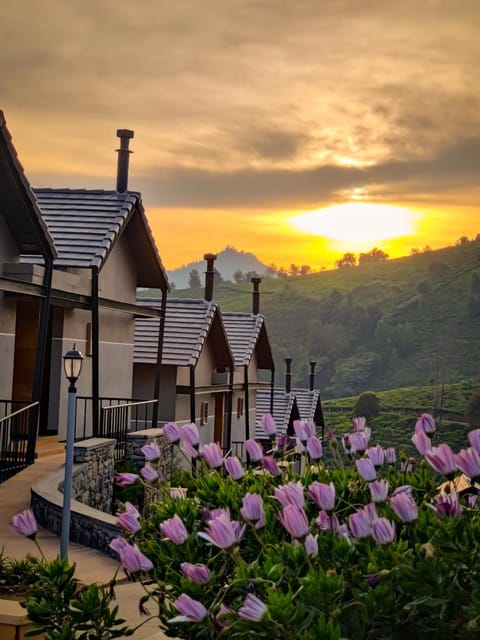 Property building, Natural landscape, Garden view