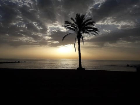 Balcones - Central Estepona 3 bed apt with pool and parking Apartment in Estepona