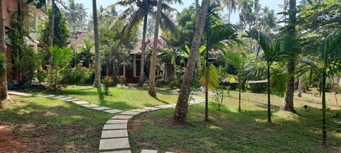 Garden view