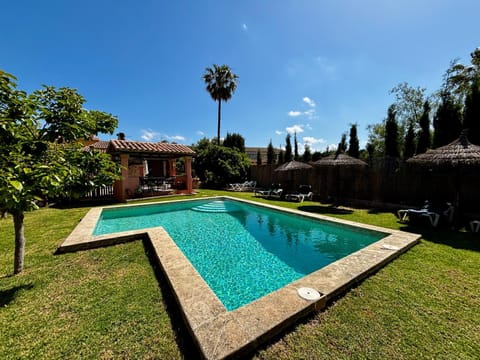 Garden, Pool view, Swimming pool, sunbed