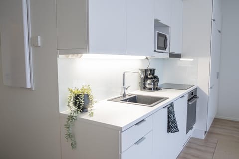Kitchen or kitchenette, dishwasher, stove, toaster