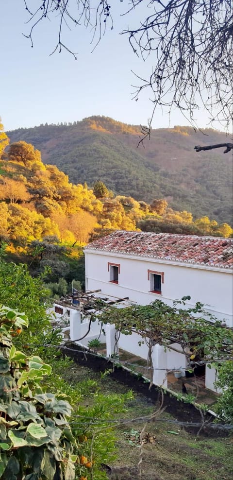 Finca Riolavar House in Costa del Sol