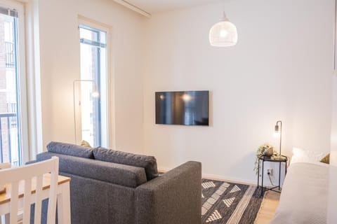 TV and multimedia, Living room, Seating area, Evening entertainment