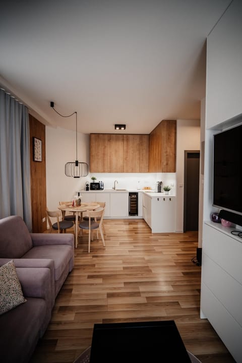 TV and multimedia, Kitchen or kitchenette, Living room, Dining area, minibar, stove
