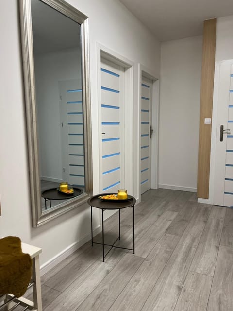 Apartament Sportowa Apartment in Lithuania