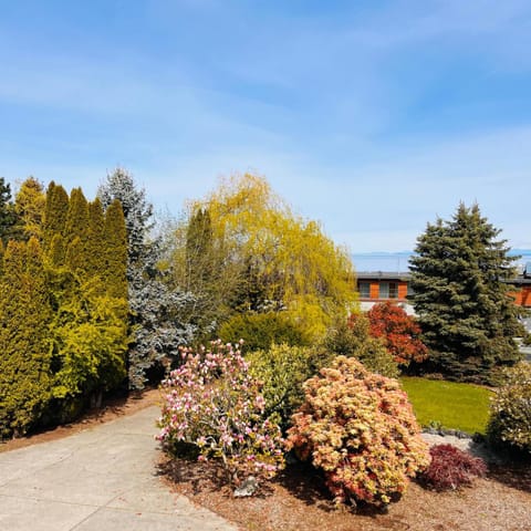 Spring, Day, Natural landscape, Garden, Garden view