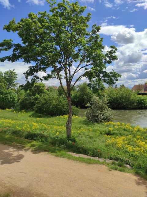 Natural landscape, Hiking, River view