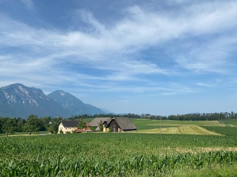 Temelhof - Landhaus mit Sauna und Kamin House in Carinthia, Austria