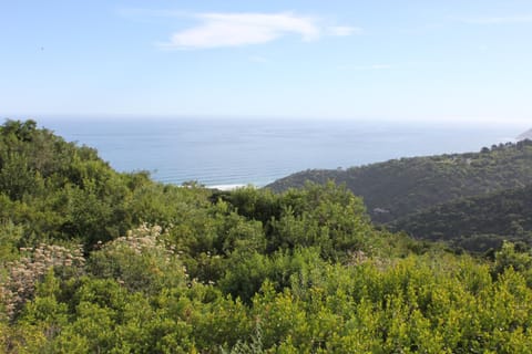 Sea view