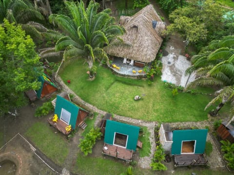 Property building, Natural landscape, Bird's eye view, Garden view