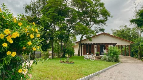 Day, Natural landscape, Garden, View (from property/room)