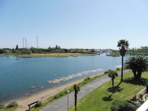 Lake view
