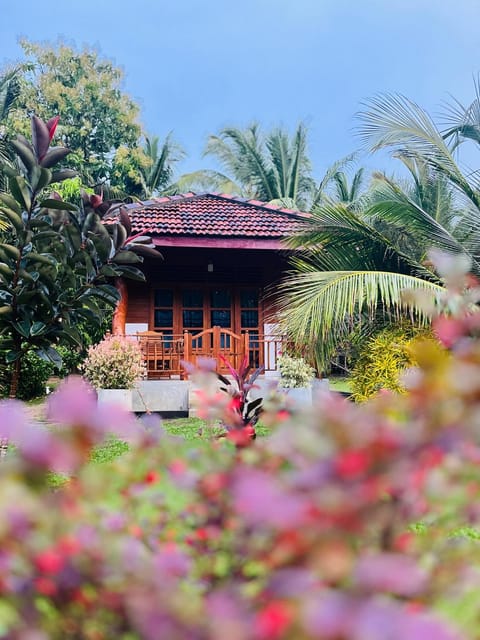 Property building, Spring, Day, Garden, Garden view