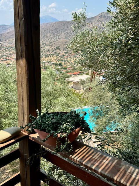 Melolia Estate Apartment in Euboea