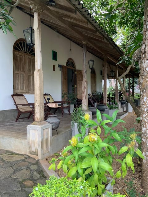 Property building, Garden view