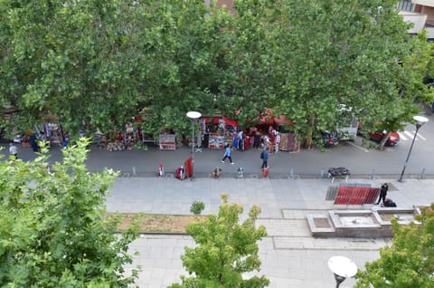 Day, People, Natural landscape, Street view, Location