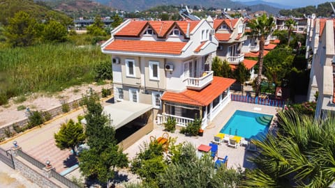 Day, Garden, Swimming pool, sunbed