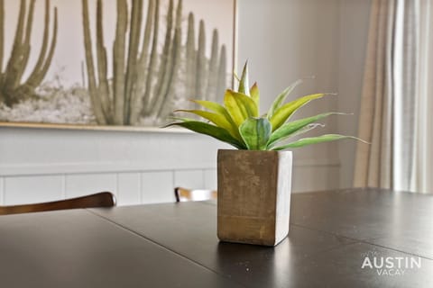 Pets Welcome Great Space Backyard Near Zilker Apartment in Zilker