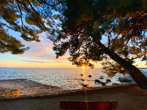 Day, Natural landscape, Beach, Sea view, Sunrise, Sunset