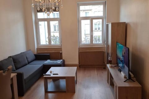 Grand 4p Strasbourg orangerie 7 personnes proche d Allemagne Apartment in Strasbourg