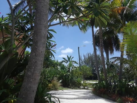 Gorgeous Lakeview Front Lake Osborne House in Lake Worth