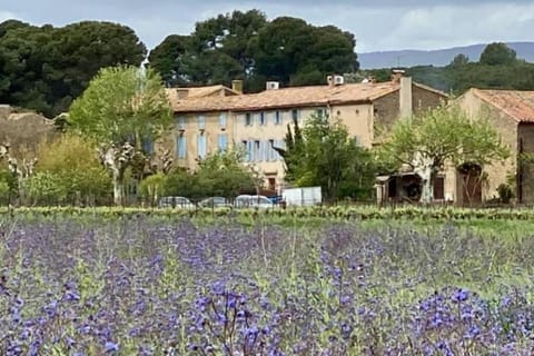 Property building, Natural landscape