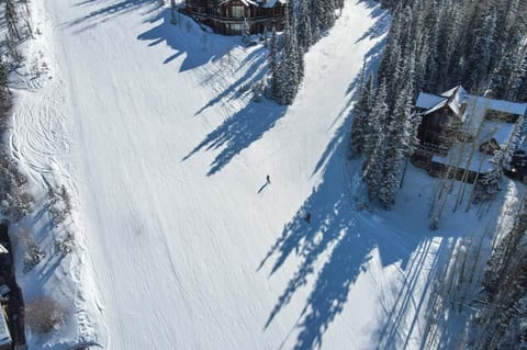 Back Door Ski In Out - Fireplace, Hot Tub, Huge Views - Alpine Luxury at Copper Hollow home House in Mountain Village