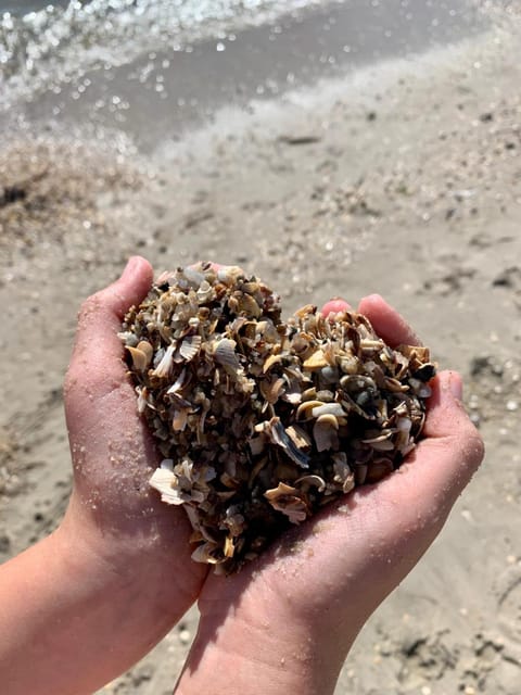 Natural landscape, Beach