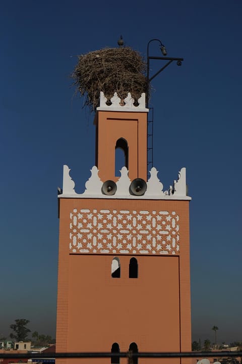 Landmark view
