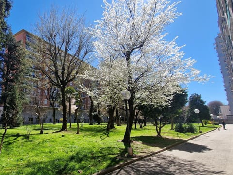Natural landscape, Garden, Garden view