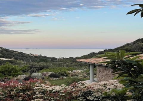 Garden, Sea view