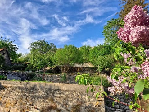 Résidence La Mamone Apartment in Jura