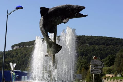 Résidence La Mamone Apartment in Jura