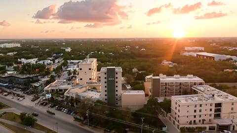 Property building, Bird's eye view, City view, Location