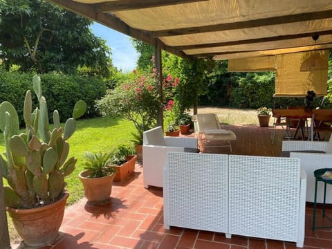 Patio, Spring, Garden, Balcony/Terrace