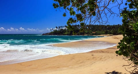Nearby landmark, Beach