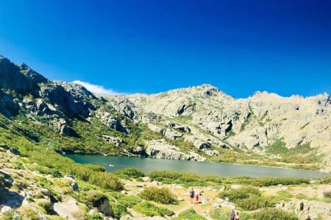 Beau et confortable 2 pièces vue mer/maquis Apartment in Lumio