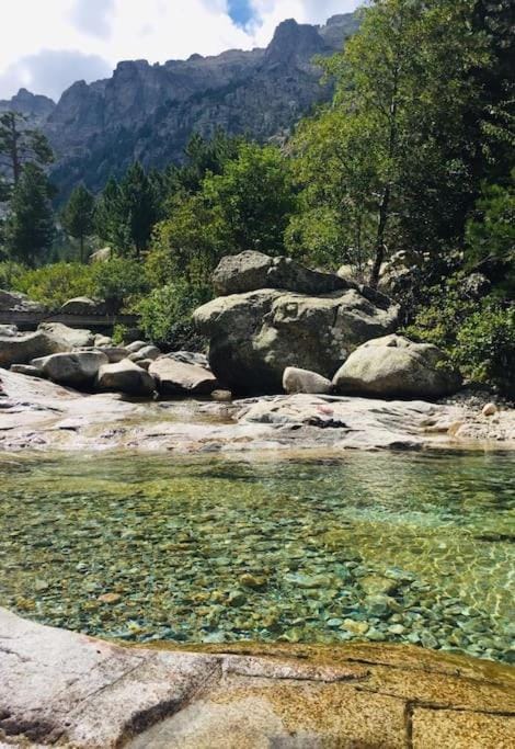 Beau et confortable 2 pièces vue mer/maquis Apartment in Lumio