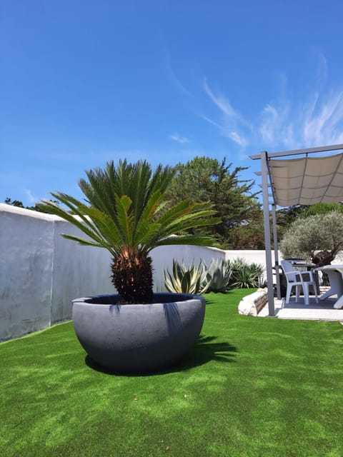 Patio, Garden, Balcony/Terrace, Garden view