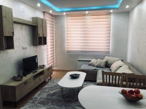 Apartman Nedeljkovic 10 Apartment in Zlatibor