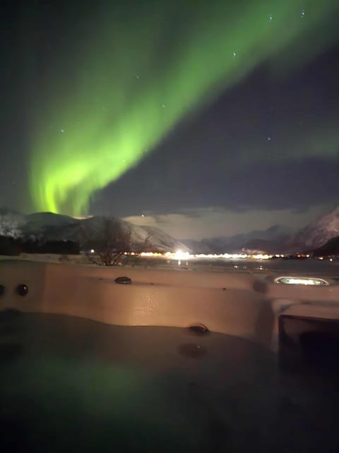 Night, Natural landscape, Swimming pool