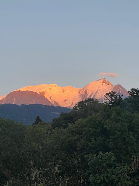 Duplex 3 chambres Vue Mont-Blanc Apartment in Combloux