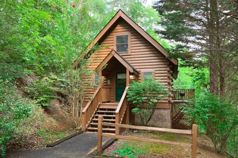 Misbeehavin' House in Pigeon Forge