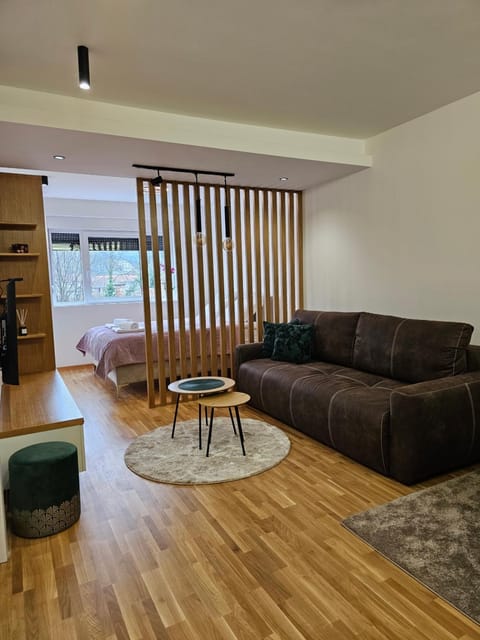 Mimi Apartment in Serbia