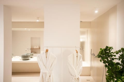 Lilium Hotel Santorini Hotel in Mesaria