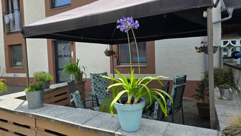 Garden, Balcony/Terrace