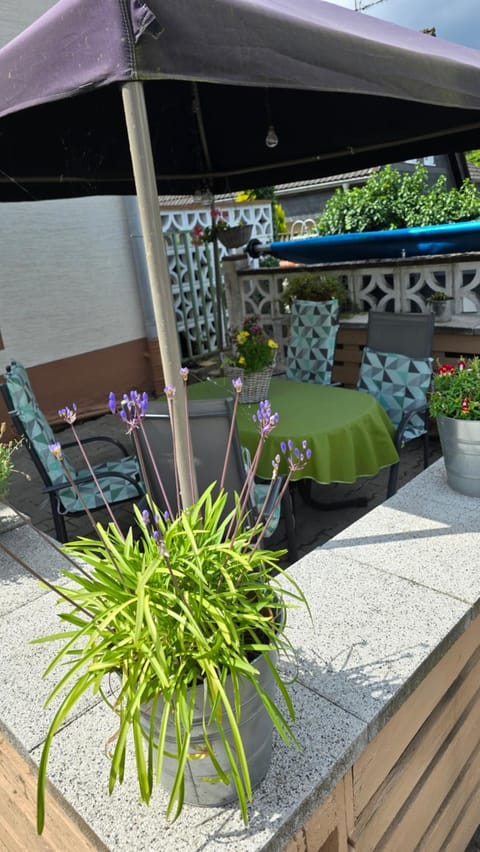 Garden, Balcony/Terrace